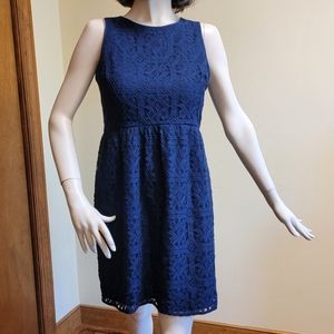 Ann Taylor Loft Navy Lace Shift Dress